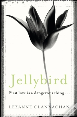 Capa do artigo Jellybird