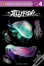 Jellyfish!