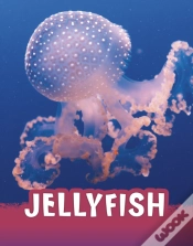 Capa do artigo Jellyfish