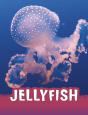 Jellyfish - Preview