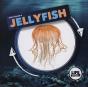 Jellyfish - Preview