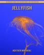 Jellyfish - Preview