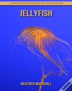 Capa do artigo Jellyfish