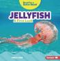 Jellyfish - Preview