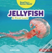 Capa do artigo Jellyfish