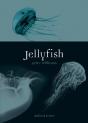 Jellyfish - Preview