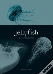 Capa do artigo Jellyfish