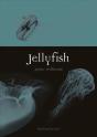 Jellyfish - Preview