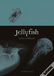 Capa do artigo Jellyfish