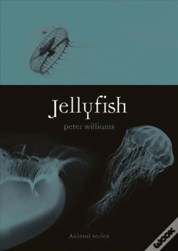 Capa do artigo Jellyfish