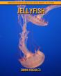 Jellyfish - Preview