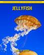Jellyfish - Preview