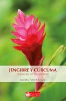 Jengibre Y Cúrcuma