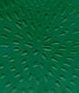 Jennifer Guidi - Preview