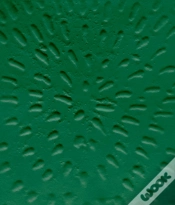 Capa do artigo Jennifer Guidi