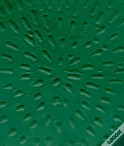 Capa do artigo Jennifer Guidi