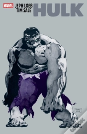 Capa do artigo Jeph Loeb & Tim Sale: Hulk