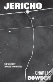 Capa do artigo Jericho