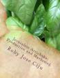 Jerusalem Artichoke - Preview