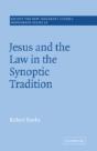 Jesus And The Law In The Synoptic Tradition - Preview