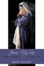 Jesus My Son: Mary'S Journal Of Jesus' E - Preview