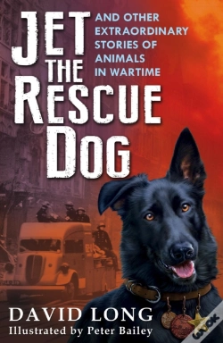 Capa do artigo Jet The Rescue Dog