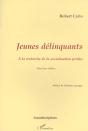Jeunes Delinquants ; A La Recherche De La Socialisation Perdue ; 2e Edition - Preview