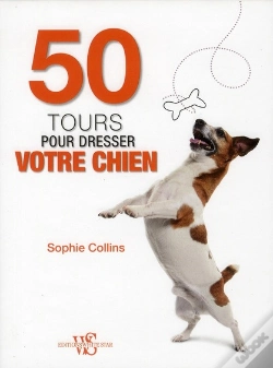 Capa do artigo Jeux Intelligents Pour Chiens Intelligents