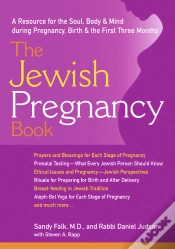Capa do artigo Jewish Pregnancy Book