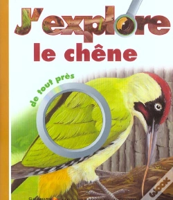 Capa do artigo J'Explore Le Chene De Tout Pres