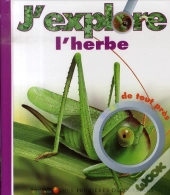 J'Explore L'Herbe De Tout Près