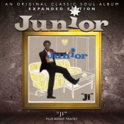 Capa do artigo Ji - CD