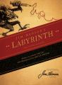 Jim Henson'S The Labyrinth Novelization - Preview