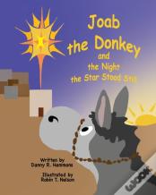 Joab The Donkey And The Night The Star Stood Still