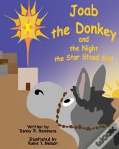 Joab The Donkey And The Night The Star Stood Still