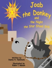 Joab The Donkey And The Night The Star Stood Still