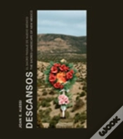 Capa do artigo Joan E. Alessi