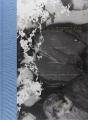Joan Fontcuberta. Miradas De Asturias: Trauma - Preview