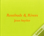 Capa do artigo Joan Snyder