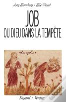 Job Ou Dieu Dans La Tempête