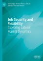 Job Security And Flexibility - Preview