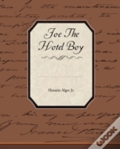 Capa do artigo Joe The Hotel Boy