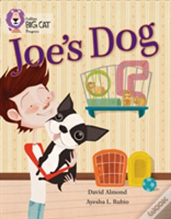 Capa do artigo Joeâ€™S Dog