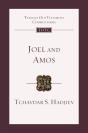 Joel And Amos - Preview