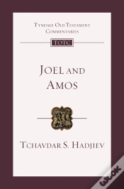 Capa do artigo Joel And Amos