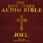 Joel - Preview