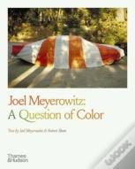 Joel Meyerowitz: A Question Of Color