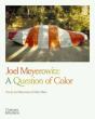 Joel Meyerowitz: A Question Of Color - Preview