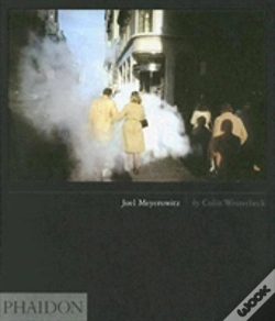 Capa do artigo Joel Meyerowitz