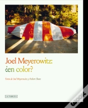 Capa do artigo Joel Meyerowitz En Color